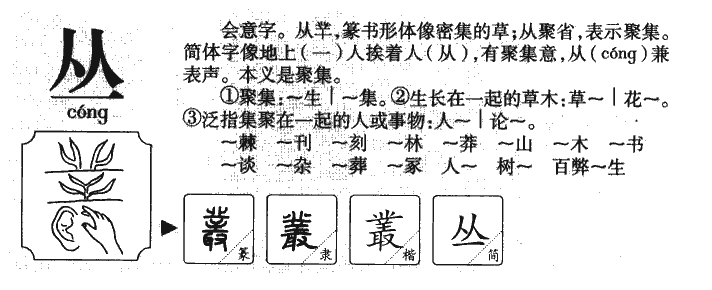 丛字五行属什么-丛字起名的寓意-丛字意思