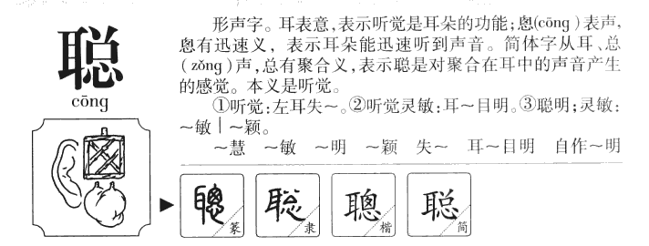 聪字五行属什么-聪字起名的寓意-聪字意思