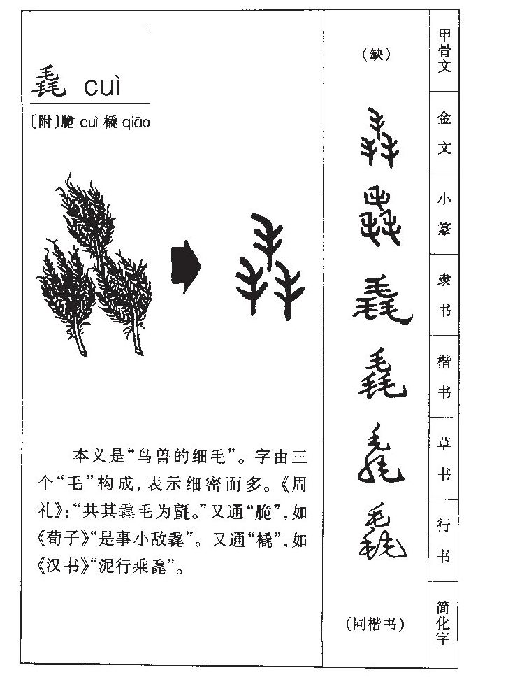毳字五行属什么-毳字起名的寓意-毳字意思