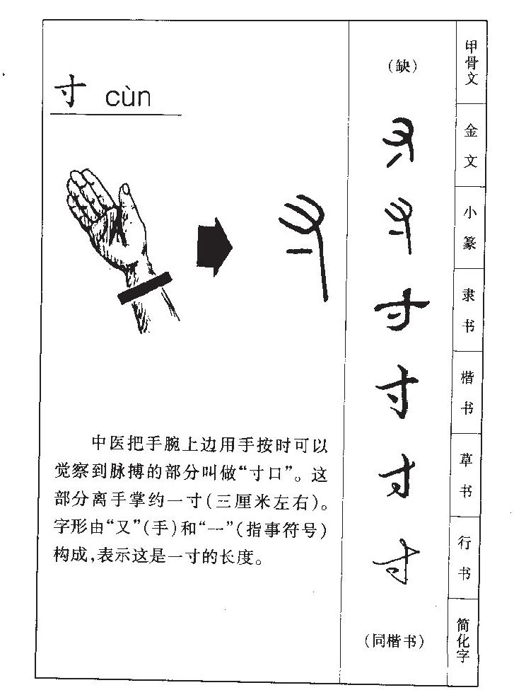 寸字五行属什么-寸字起名的寓意-寸字意思
