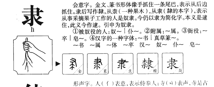 隶字五行属什么-隶字起名的寓意-隶字意思