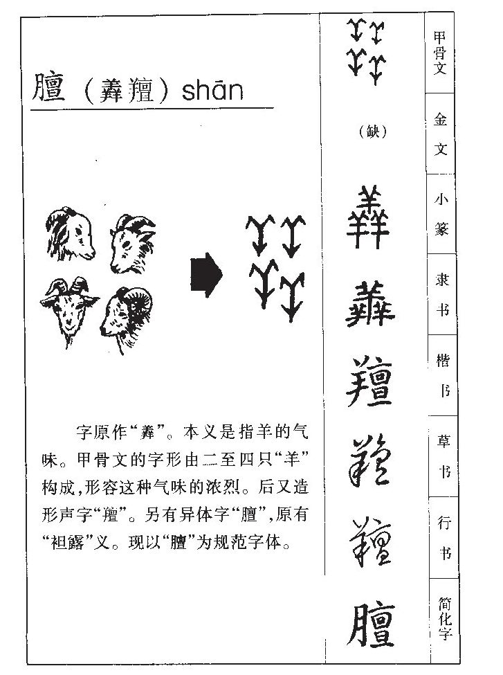 膻字五行属什么-膻字起名的寓意-膻字意思