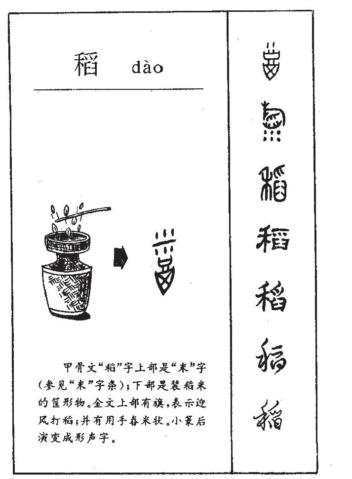 稻字五行属什么-稻字起名的寓意-稻字意思