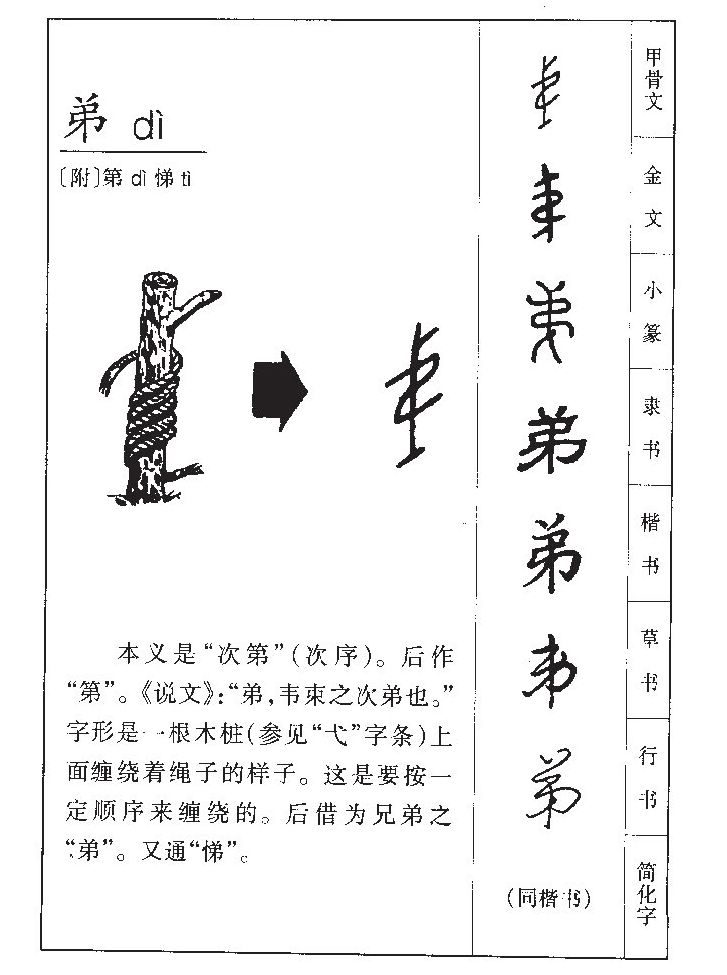 弟字五行属什么-弟字起名的寓意-弟字意思