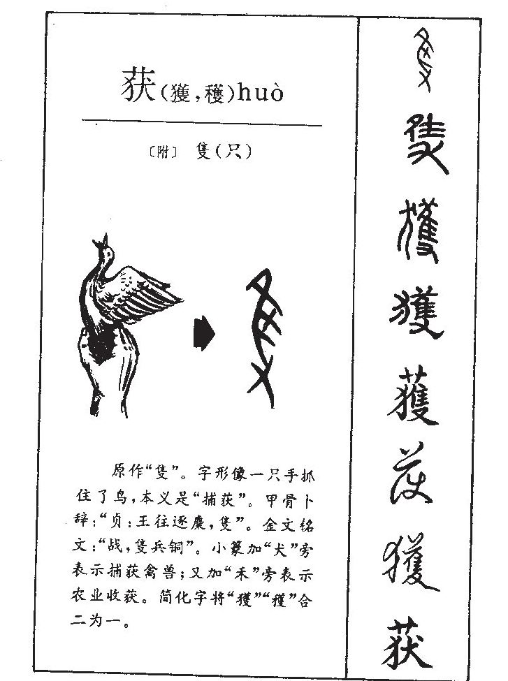 荻字五行属什么-荻字起名的寓意-荻字意思