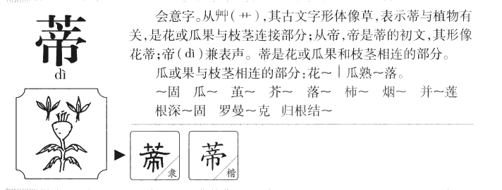 蒂字五行属什么-蒂字起名的寓意-蒂字意思