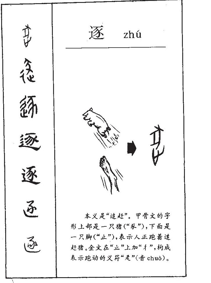 逐字五行属什么-逐字起名的寓意-逐字意思