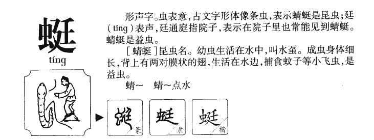 蜓字五行属什么-蜓字起名的寓意-蜓字意思