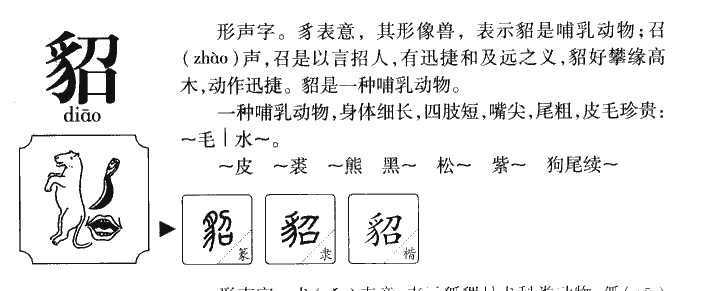 貂字五行属什么-貂字起名的寓意-貂字意思