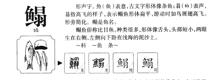 鳎字五行属什么-鳎字起名的寓意-鳎字意思