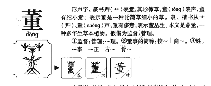 董字五行属什么-董字起名的寓意-董字意思