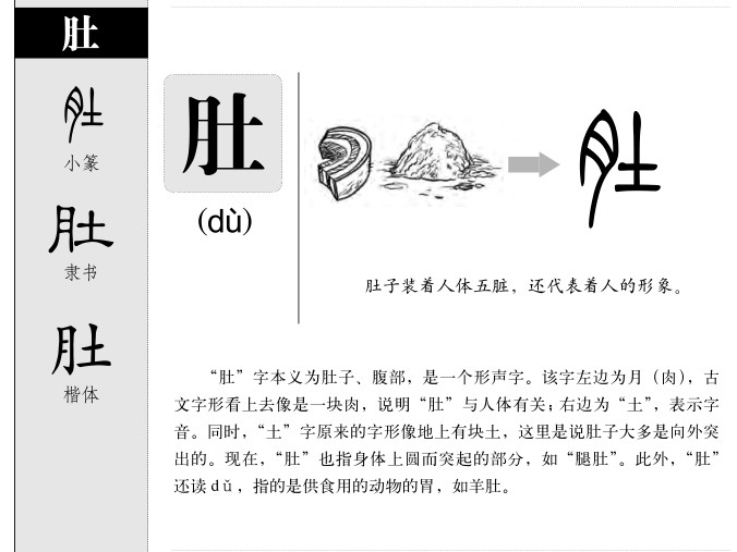肚字五行属什么-肚字起名的寓意-肚字意思