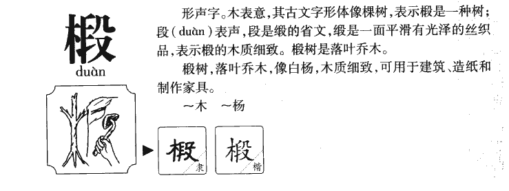 椴字五行属什么-椴字起名的寓意-椴字意思