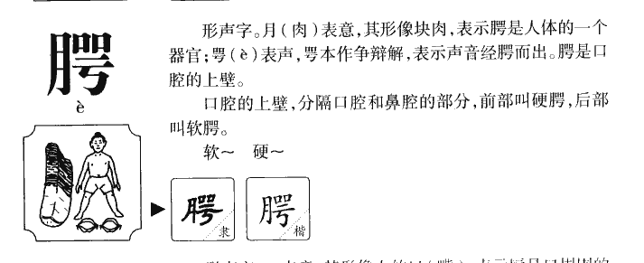 腭字五行属什么-腭字起名的寓意-腭字意思