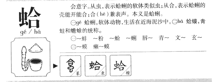 蛤字五行属什么-蛤字起名的寓意-蛤字意思