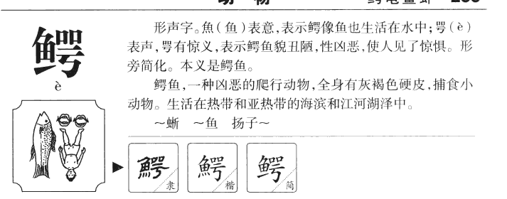 鳄字五行属什么-鳄字起名的寓意-鳄字意思