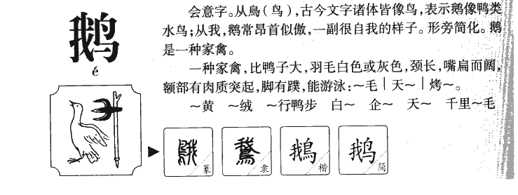 鹅字五行属什么-鹅字起名的寓意-鹅字意思