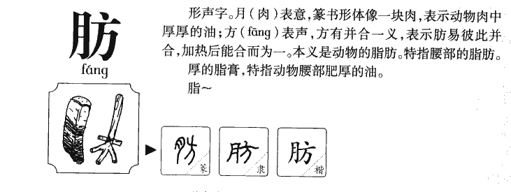 肪字五行属什么-肪字起名的寓意-肪字意思