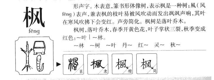 枫字五行属什么-枫字起名的寓意-枫字意思