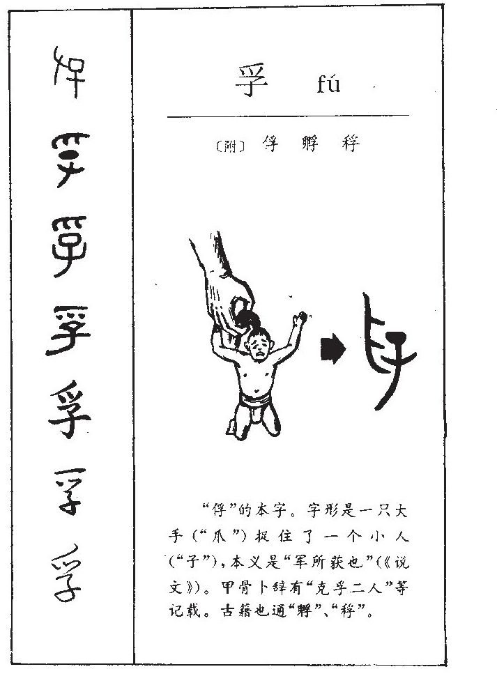孚字五行属什么-孚字起名的寓意-孚字意思