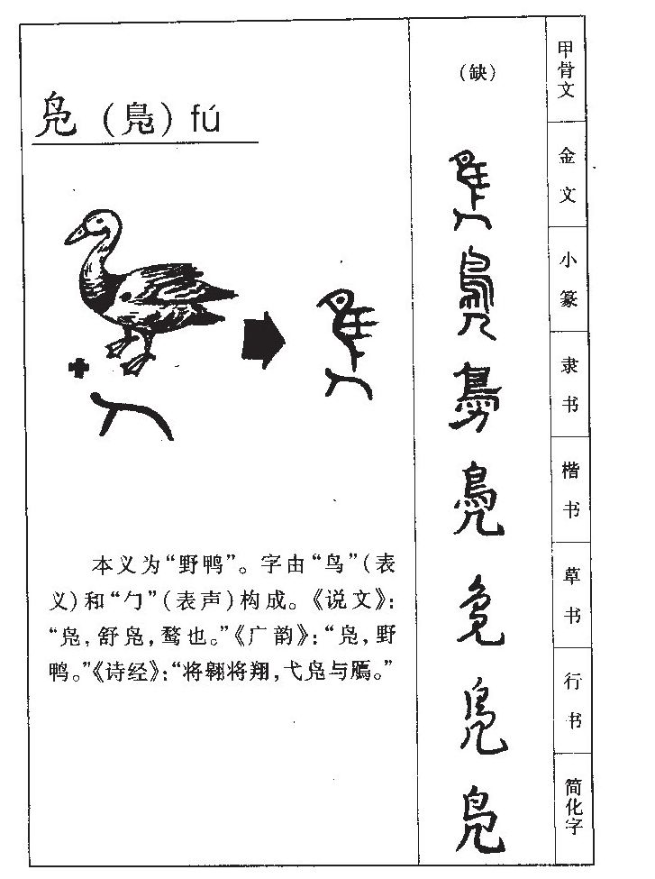 凫字五行属什么-凫字起名的寓意-凫字意思