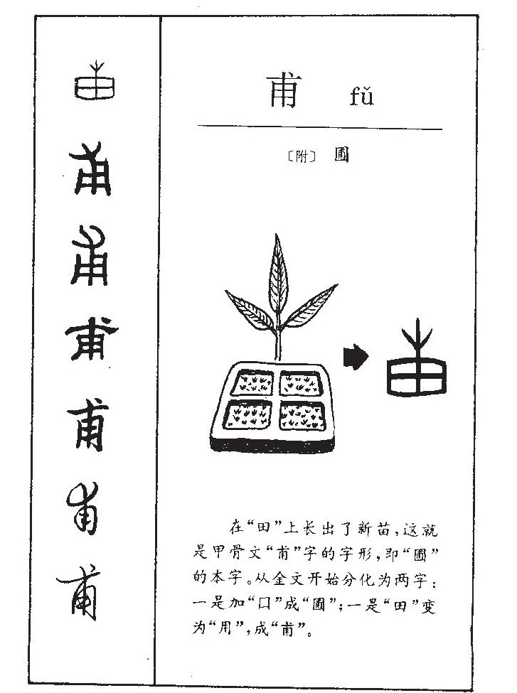 甫字五行属什么-甫字起名的寓意-甫字意思