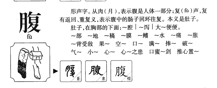腹字五行属什么-腹字起名的寓意-腹字意思