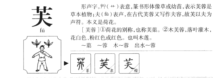 芙字五行属什么-芙字起名的寓意-芙字意思