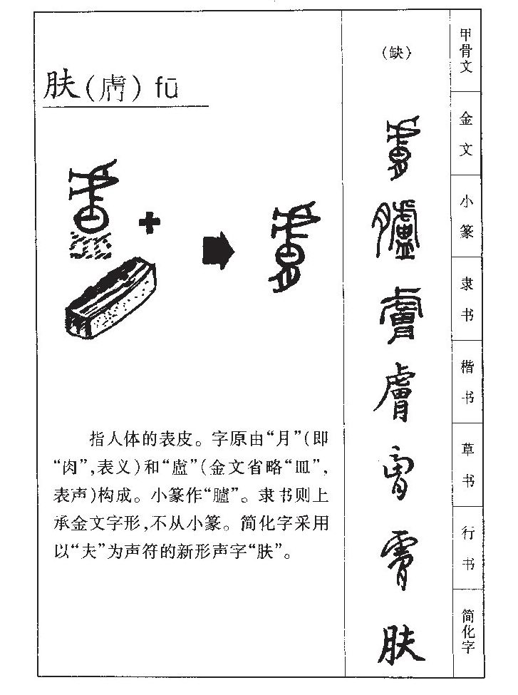 肤字五行属什么-肤字起名的寓意-肤字意思