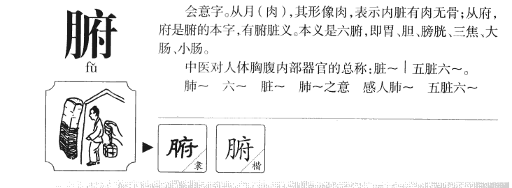 腑字五行属什么-腑字起名的寓意-腑字意思