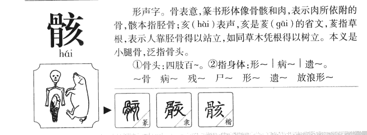 骸字五行属什么-骸字起名的寓意-骸字意思