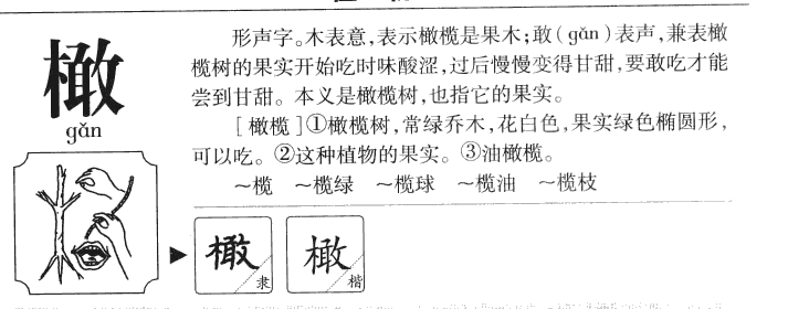 橄字五行属什么-橄字起名的寓意-橄字意思