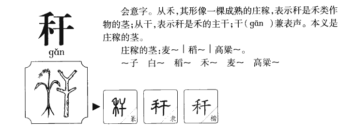 秆字五行属什么-秆字起名的寓意-秆字意思
