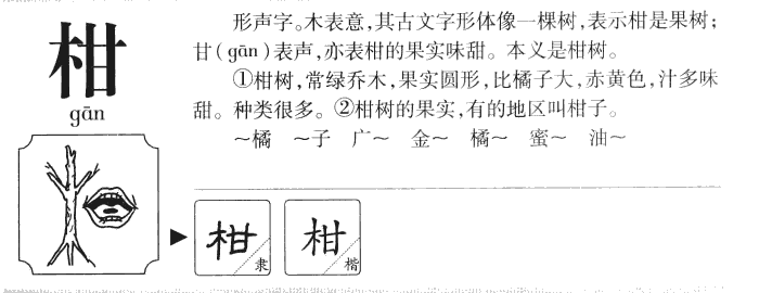 柑字五行属什么-柑字起名的寓意-柑字意思