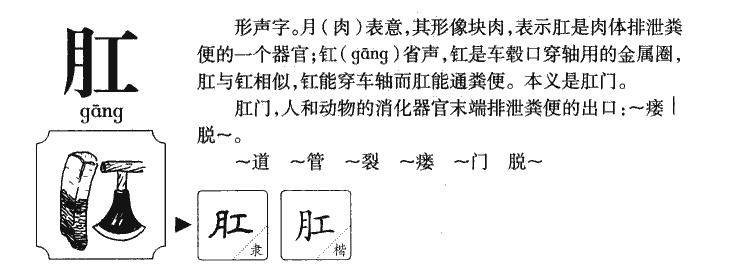 肛字五行属什么-肛字起名的寓意-肛字意思