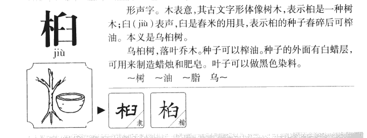 桕字五行属什么-桕字起名的寓意-桕字意思