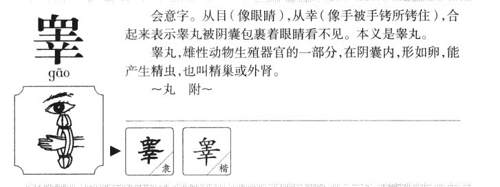 睾字五行属什么-睾字起名的寓意-睾字意思