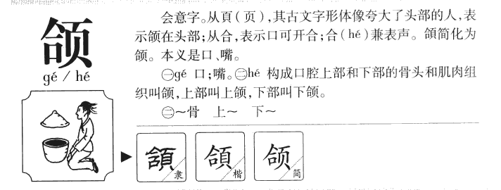 颌字五行属什么-颌字起名的寓意-颌字意思