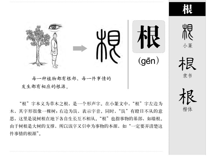 根字五行属什么-根字起名的寓意-根字意思