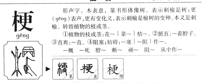 梗字五行属什么-梗字起名的寓意-梗字意思