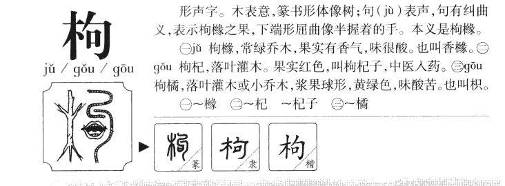 枸字五行属什么-枸字起名的寓意-枸字意思