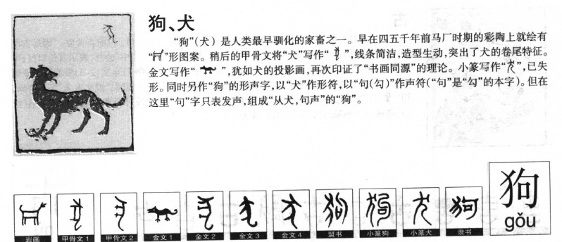 狗字五行属什么-狗字起名的寓意-狗字意思