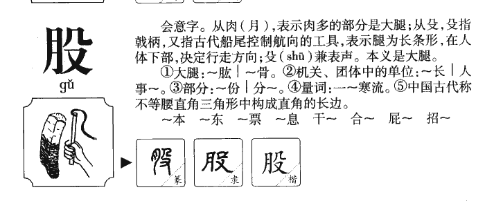 股字五行属什么-股字起名的寓意-股字意思