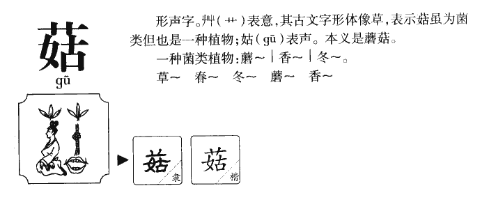 菇字五行属什么-菇字起名的寓意-菇字意思