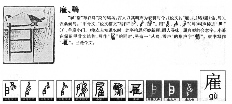 雇字五行属什么-雇字起名的寓意-雇字意思