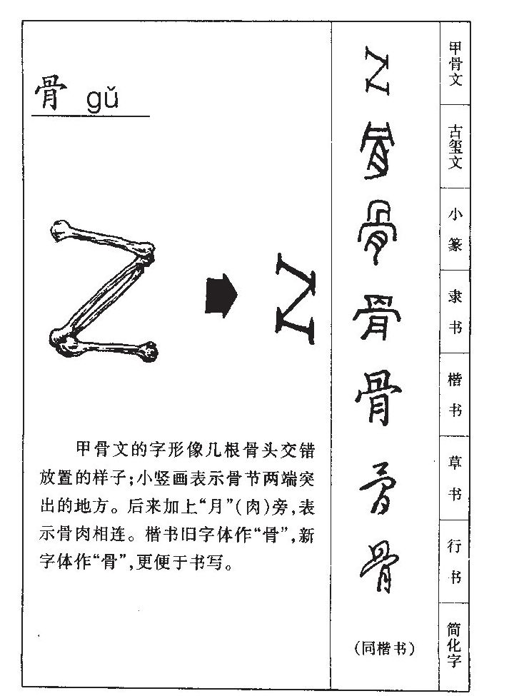 骨字五行属什么-骨字起名的寓意-骨字意思