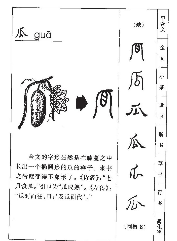 瓜字五行属什么-瓜字起名的寓意-瓜字意思