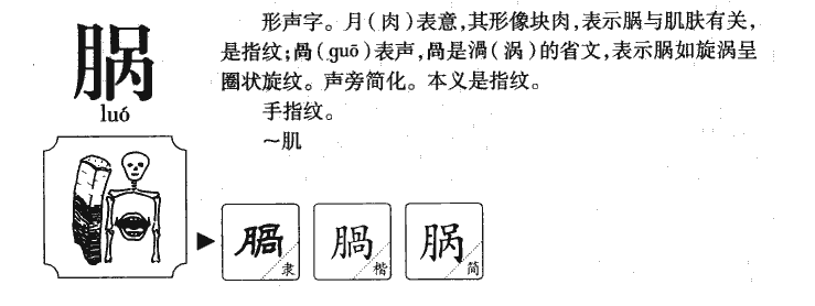 脶字五行属什么-脶字起名的寓意-脶字意思
