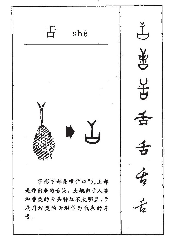 舌字五行属什么-舌字起名的寓意-舌字意思