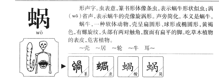 蜗字五行属什么-蜗字起名的寓意-蜗字意思